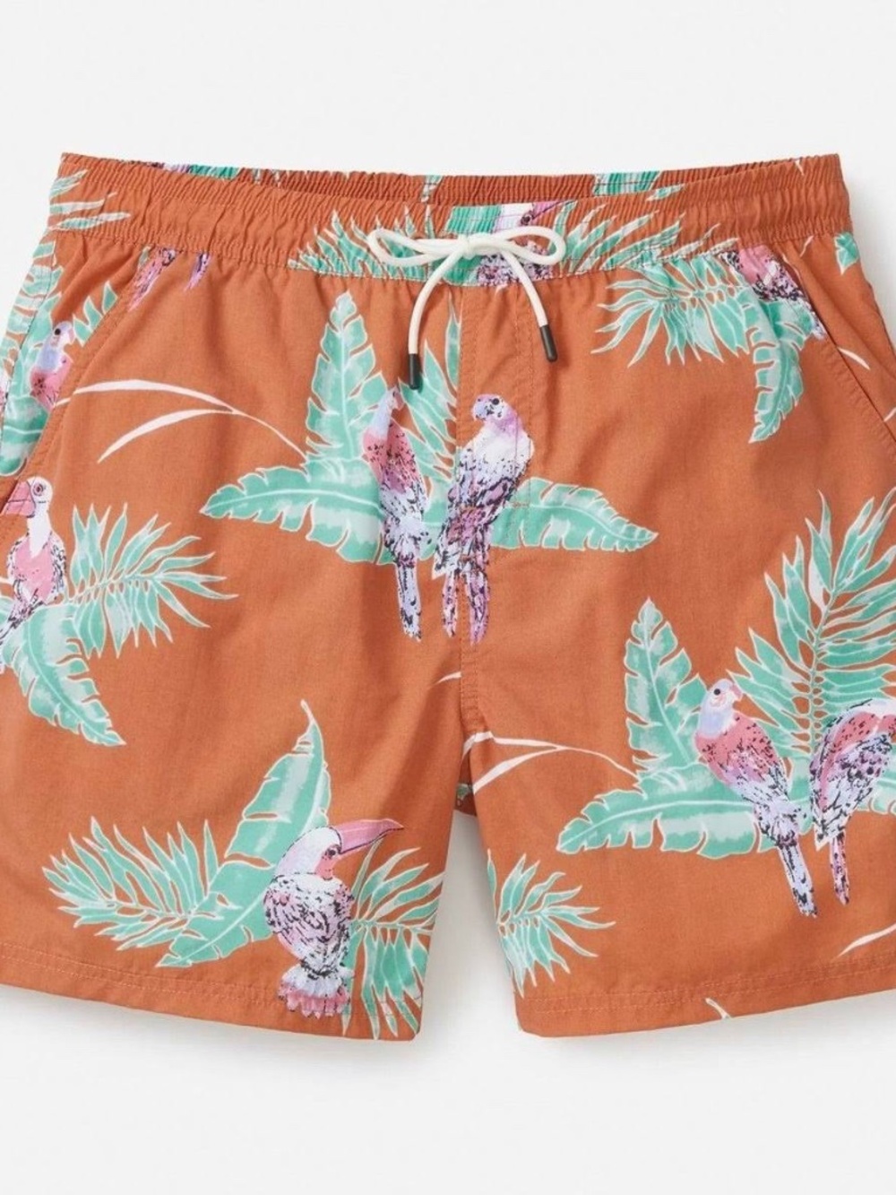Katin Paradise Volley Swim Trunks